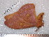  ( - barcode SNB 5318)  @12 [ ] Copyright (2014) Stefan Naumann Research Collection of Stefan Naumann