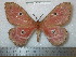  ( - barcode SNB 5374)  @13 [ ] Copyright (2014) Stefan Naumann Research Collection of Stefan Naumann