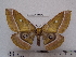  ( - barcode SNB 5516)  @14 [ ] Copyright (2015) Stefan Naumann Research Collection of Stefan Naumann