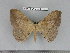  ( - barcode SNB 5559)  @13 [ ] Copyright (2015) Stefan Naumann Research Collection of Stefan Naumann