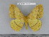  ( - barcode SNB 5573)  @11 [ ] Copyright (2015) Stefan Naumann Research Collection of Stefan Naumann