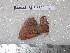  ( - barcode SNB 5699)  @13 [ ] Copyright (2015) Stefan Naumann Research Collection of Stefan Naumann