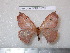  ( - barcode SNB 5729)  @11 [ ] Copyright (2015) Stefan Naumann Research Collection of Stefan Naumann