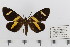  ( - barcode SNB 6436)  @11 [ ] Copyright (2019) Stefan Naumann private