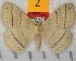  ( - barcode SNB 7038)  @11 [ ] copyright (2022) Stefan Naumann Research collection of Stefan Naumann