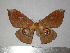  ( - barcode SNB 7297)  @11 [ ] copyright (2022) Stefan Naumann Research collection of Stefan Naumann