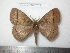  ( - barcode SNB 7521)  @11 [ ] copyright (2024) Stefan Naumann Research collection of Stefan Naumann