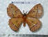  ( - barcode SNB 4712)  @14 [ ] Copyright (2012) Stefan Naumann Research Collection of Stefan Naumann