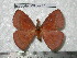  ( - barcode SNB 4717)  @14 [ ] Copyright (2012) Stefan Naumann Research Collection of Stefan Naumann