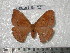  ( - barcode SNB 4728)  @13 [ ] Copyright (2012) Stefan Naumann Research Collection of Stefan Naumann