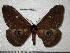  ( - barcode SNB 4941)  @11 [ ] Copyright (2012) Stefan Naumann Research Collection of Stefan Naumann