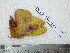  ( - barcode SNB 4969)  @12 [ ] Copyright (2012) Stefan Naumann Research Collection of Stefan Naumann