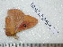  ( - barcode SNB 4974)  @12 [ ] Copyright (2012) Stefan Naumann Research Collection of Stefan Naumann