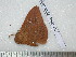  ( - barcode SNB 4975)  @13 [ ] Copyright (2012) Stefan Naumann Research Collection of Stefan Naumann
