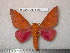  ( - barcode SNB 5048)  @13 [ ] Copyright (2013) Stefan Naumann Research Collection of Stefan Naumann