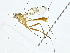  ( - BIOUG91291-F03)  @11 [ ] CreativeCommons - Attribution (2022) CBG Photography Group Centre for Biodiversity Genomics