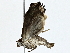  ( - BIOUG91378-A04)  @11 [ ] CreativeCommons - Attribution (2022) CBG Photography Group Centre for Biodiversity Genomics