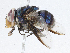  ( - CBG-A02918-F04)  @11 [ ] CreativeCommons - Attribution (2023) CBG Photography Group Centre for Biodiversity Genomics