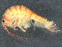  ( - CBG-A05378-H11)  @11 [ ] CreativeCommons - Attribution (2023) CBG Photography Group Centre for Biodiversity Genomics
