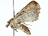  ( - BIOUG80120-G05)  @11 [ ] CreativeCommons - Attribution (2022) CBG Photography Group Centre for Biodiversity Genomics