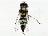  ( - BIOUG80120-H04)  @11 [ ] CreativeCommons - Attribution (2022) CBG Photography Group Centre for Biodiversity Genomics