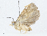  ( - CBG-A00369-A10)  @11 [ ] CreativeCommons - Attribution (2023) CBG Photography Group Centre for Biodiversity Genomics