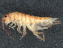  ( - CBG-A02921-H07)  @11 [ ] CreativeCommons - Attribution (2023) CBG Photography Group Centre for Biodiversity Genomics