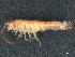  ( - CBG-A02921-H08)  @11 [ ] CreativeCommons - Attribution (2023) CBG Photography Group Centre for Biodiversity Genomics
