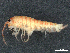  ( - CBG-A02921-H10)  @11 [ ] CreativeCommons - Attribution (2023) CBG Photography Group Centre for Biodiversity Genomics