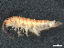  ( - CBG-A02921-H11)  @11 [ ] CreativeCommons - Attribution (2023) CBG Photography Group Centre for Biodiversity Genomics