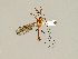  ( - CMNH575772)  @13 [ ] CreativeCommons - Attribution Non-Commercial No Derivatives (2011) Chen Young Carnegie Museum