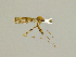  ( - CMNH544399)  @13 [ ] CreativeCommons - Attribution Non-Commercial No Derivatives (2010) Chen Young Carnegie Museum