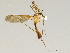  ( - CMNH475149)  @13 [ ] CreativeCommons - Attribution Non-Commercial Share-Alike (2010) Unspecified Carnegie Museum of Natural History