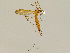  ( - CMNH543463)  @13 [ ] CreativeCommons - Attribution Non-Commercial Share-Alike (2010) Unspecified Carnegie Museum of Natural History