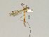  ( - CMNH475245)  @13 [ ] CreativeCommons - Attribution Non-Commercial Share-Alike (2010) Unspecified Carnegie Museum of Natural History