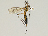  ( - CMNH475251)  @13 [ ] CreativeCommons - Attribution Non-Commercial Share-Alike (2010) Unspecified Carnegie Museum of Natural History