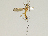  ( - CMNH475258)  @13 [ ] CreativeCommons - Attribution Non-Commercial Share-Alike (2010) Unspecified Carnegie Museum of Natural History