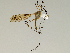  ( - CMNH543192)  @13 [ ] CreativeCommons - Attribution Non-Commercial Share-Alike (2010) Unspecified Carnegie Museum of Natural History