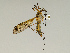  ( - CMNH543215)  @14 [ ] CreativeCommons - Attribution Non-Commercial Share-Alike (2010) Unspecified Carnegie Museum of Natural History