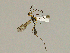  ( - CMNH543446)  @12 [ ] CreativeCommons - Attribution Non-Commercial Share-Alike (2010) Unspecified Carnegie Museum of Natural History