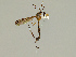  ( - CMNH166466)  @11 [ ] CreativeCommons - Attribution Non-Commercial No Derivatives (2011) Chen Young Carnegie Museum