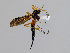  ( - CMNH256736)  @13 [ ] CreativeCommons - Attribution Non-Commercial No Derivatives (2010) Chen Young Carnegie Museum