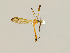  ( - CMNH543459)  @13 [ ] CreativeCommons - Attribution Non-Commercial Share-Alike (2010) Unspecified Carnegie Museum of Natural History