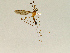  ( - CMNH543702)  @13 [ ] CreativeCommons - Attribution Non-Commercial Share-Alike (2010) Chen  Young Carnegie Museum of Natural History