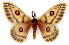  ( - BC-JJ2826-A11)  @11 [ ] Copyright (2010) Unspecified Research Collection of Jo Joannou