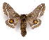  ( - BC-JJ2826-F01)  @14 [ ] Copyright (2010) Unspecified Research Collection of Jo Joannou