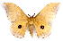  ( - BC-JJ2826-F06)  @11 [ ] Copyright (2010) Unspecified Research Collection of Jo Joannou
