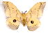  ( - BC-JJ2826-F07)  @11 [ ] Copyright (2010) Unspecified Research Collection of Jo Joannou