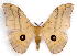  ( - BC-JJ2826-F10)  @11 [ ] Copyright (2010) Unspecified Research Collection of Jo Joannou