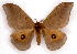  ( - BC-JJ2826-F11)  @11 [ ] Copyright (2010) Unspecified Research Collection of Jo Joannou